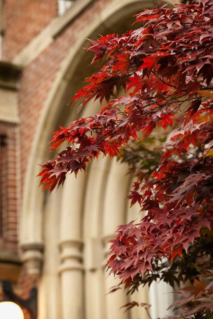 Waynesburg to host sixth annual Merit Badge University