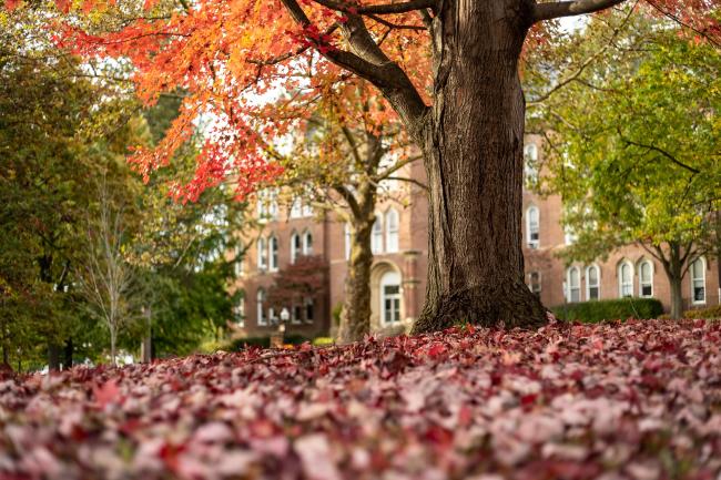 Miller Hall with Leaves