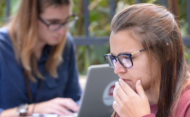 Students studying outdoors