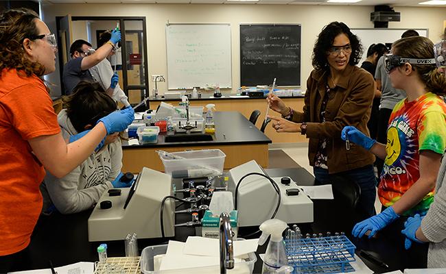 Students learning in their biology classroom