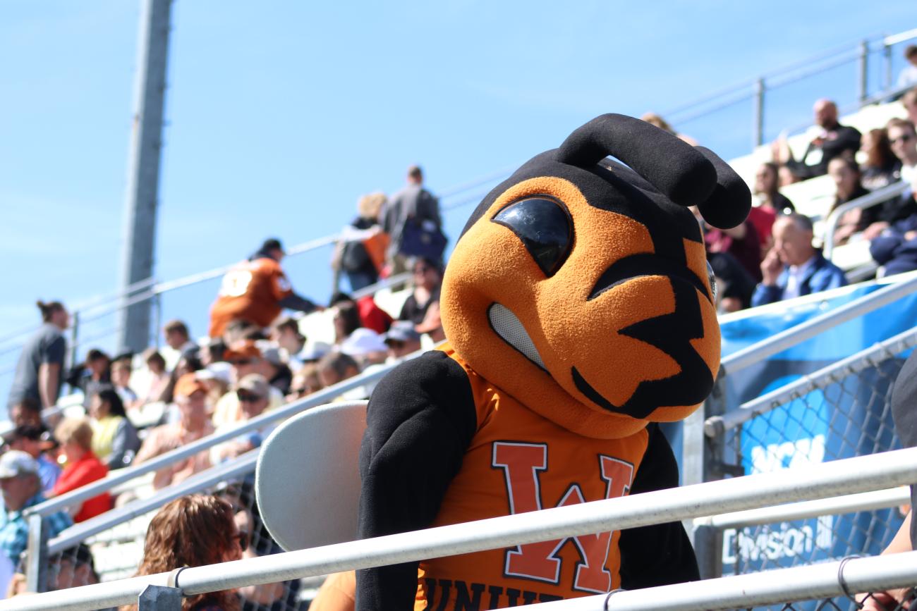 Sting mascot at a football game