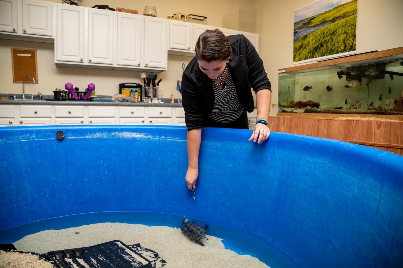 WU student works in marine biology lab on campus