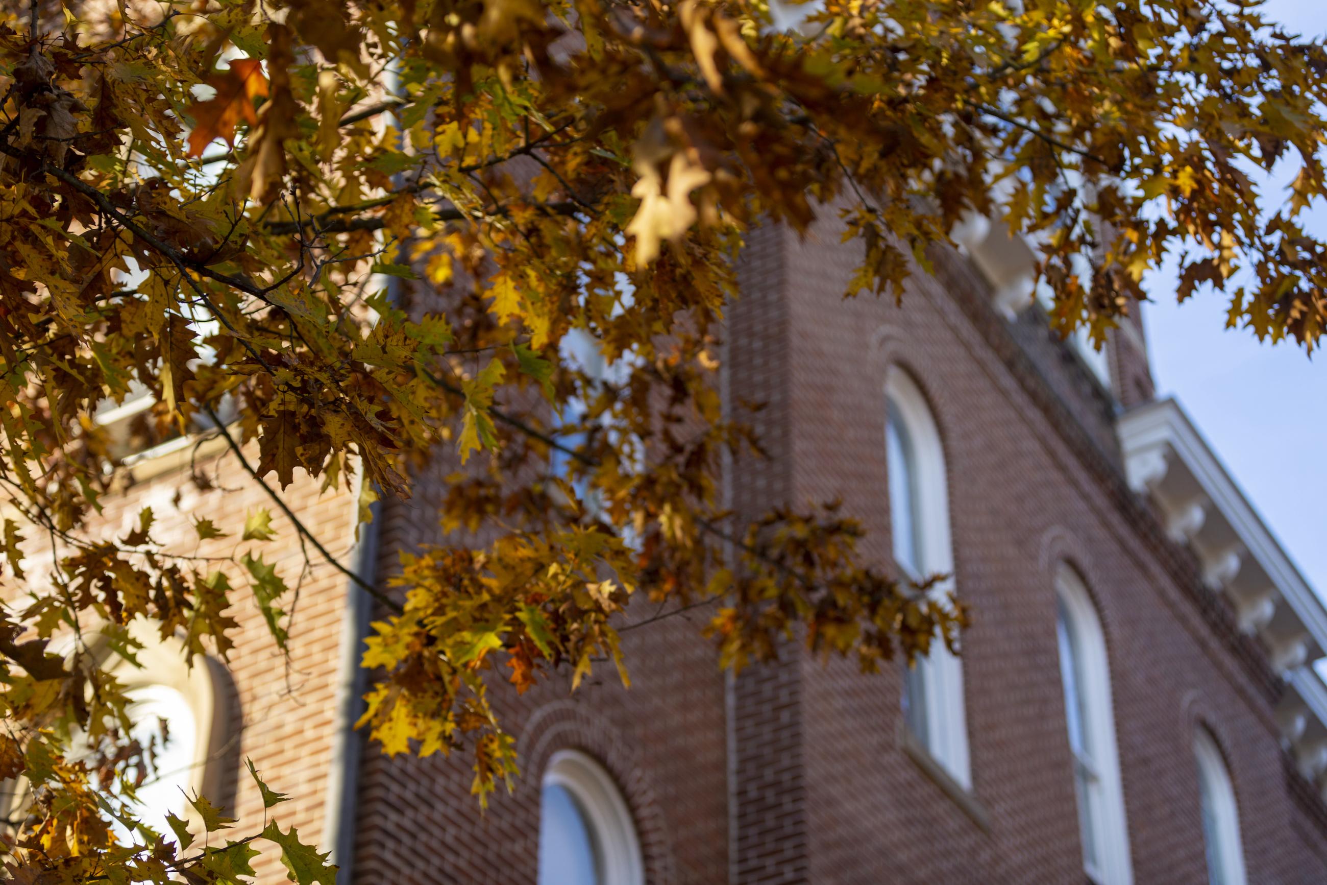 Fall leaves against Miller Hall's bricks