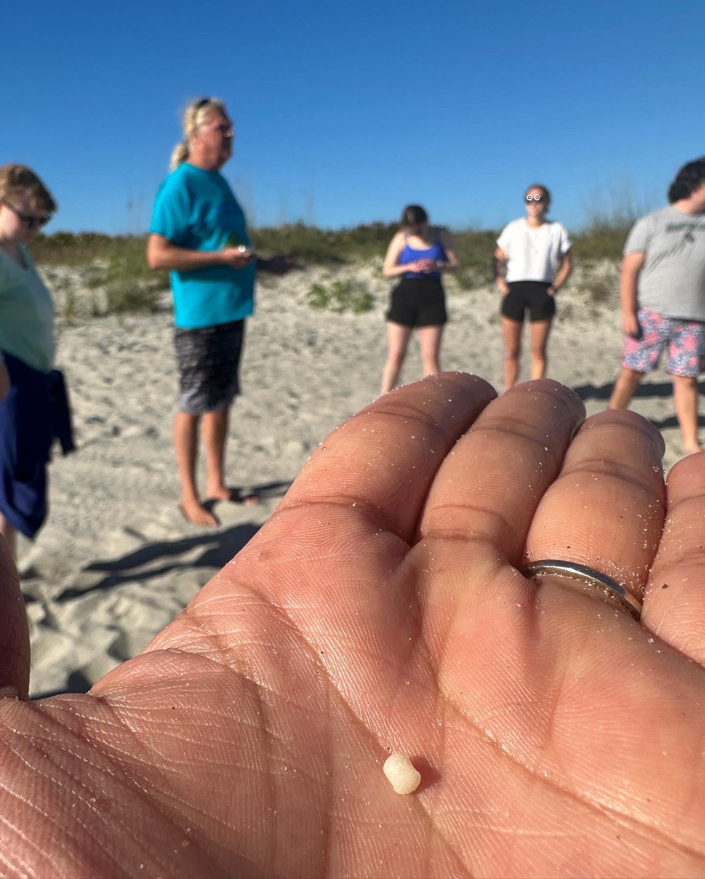 WU A Rocha trip group during nurdle hunt