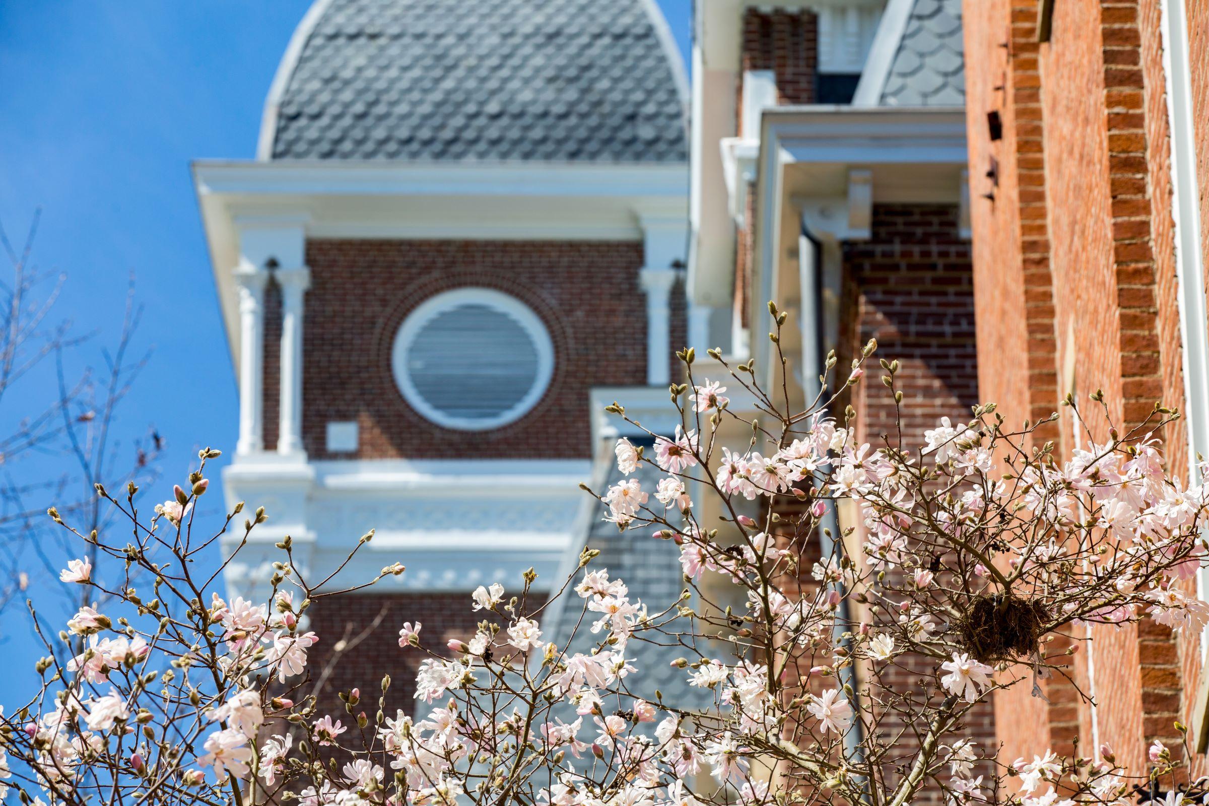 Image of Miller Hall with blossoming flowers