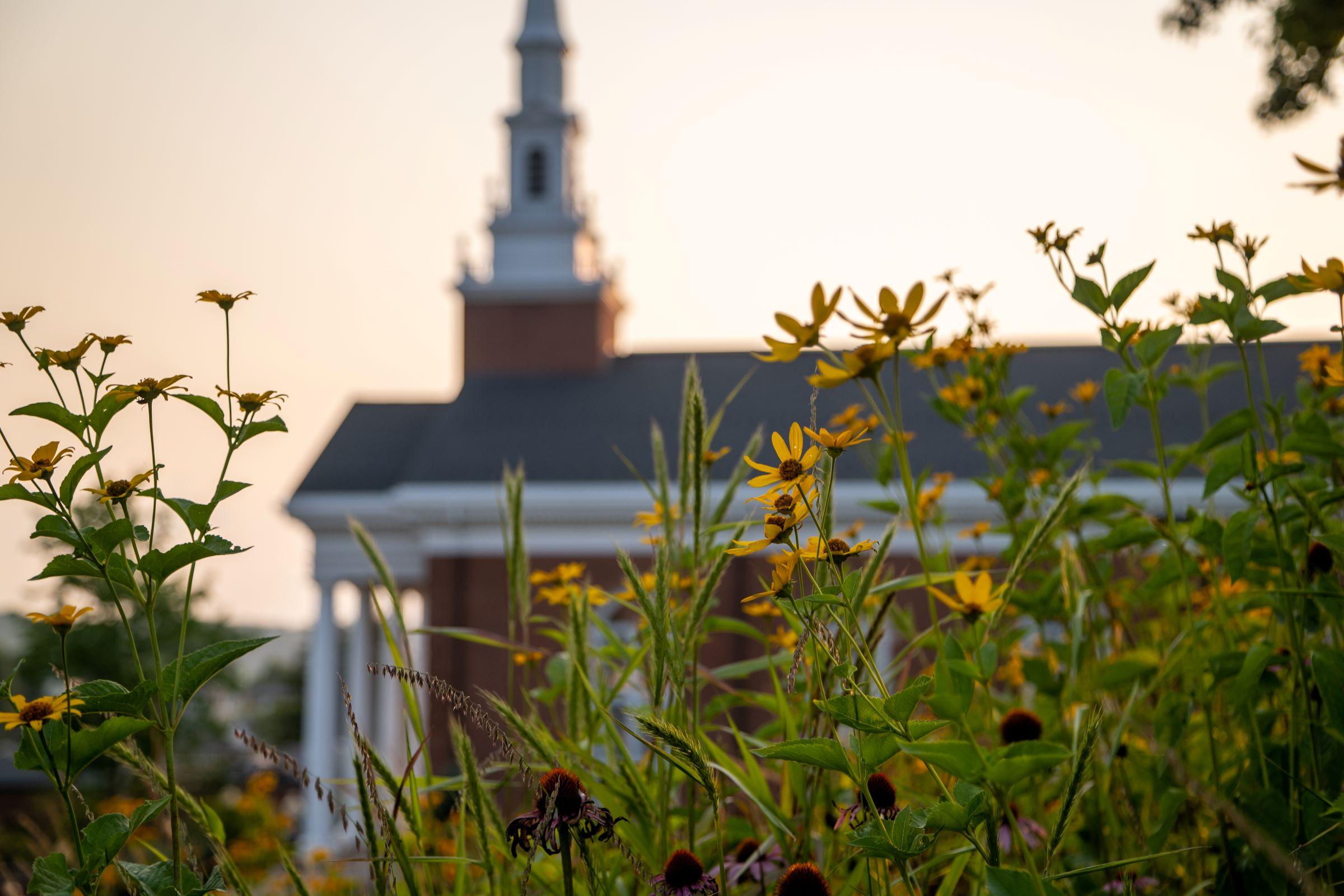 Roberts Chapel with wildflowers in foreground