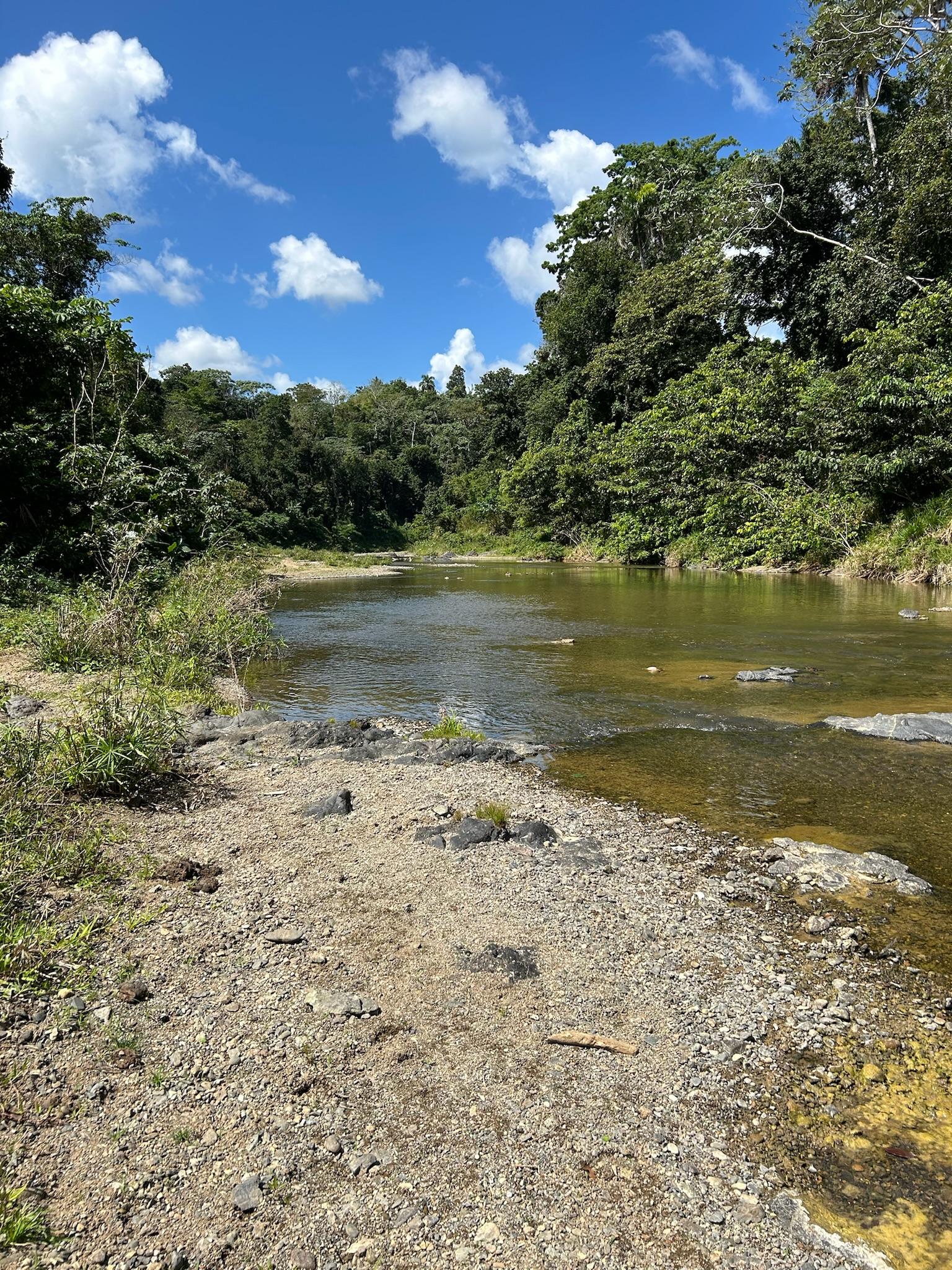 A river sits between green trees. In the front, there are rocks lining the river's edge.