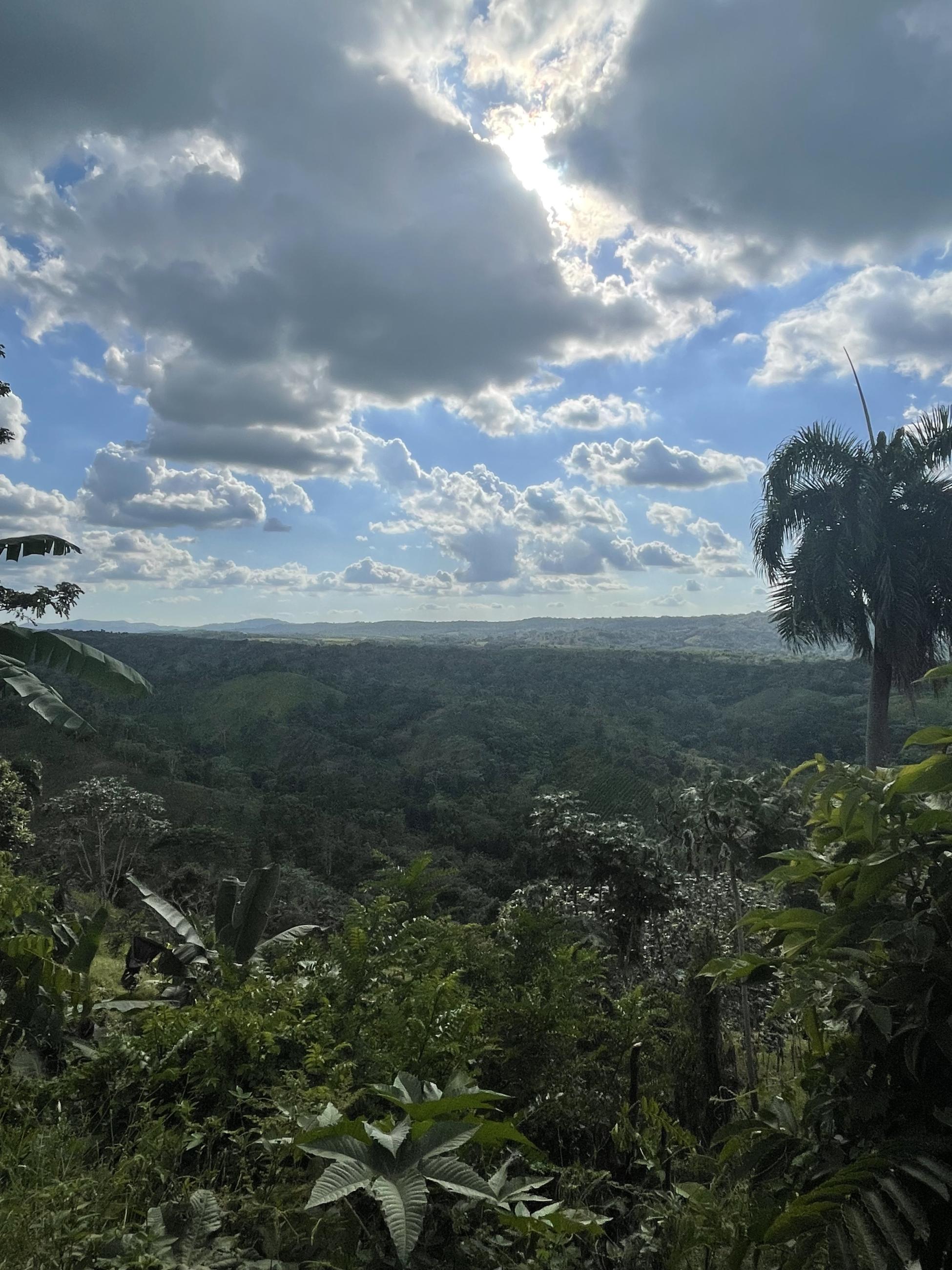 Green mountains stretch below the camera as white clouds loom overhead. The sun peaks through the clouds and a palm tree is seen to the right. 