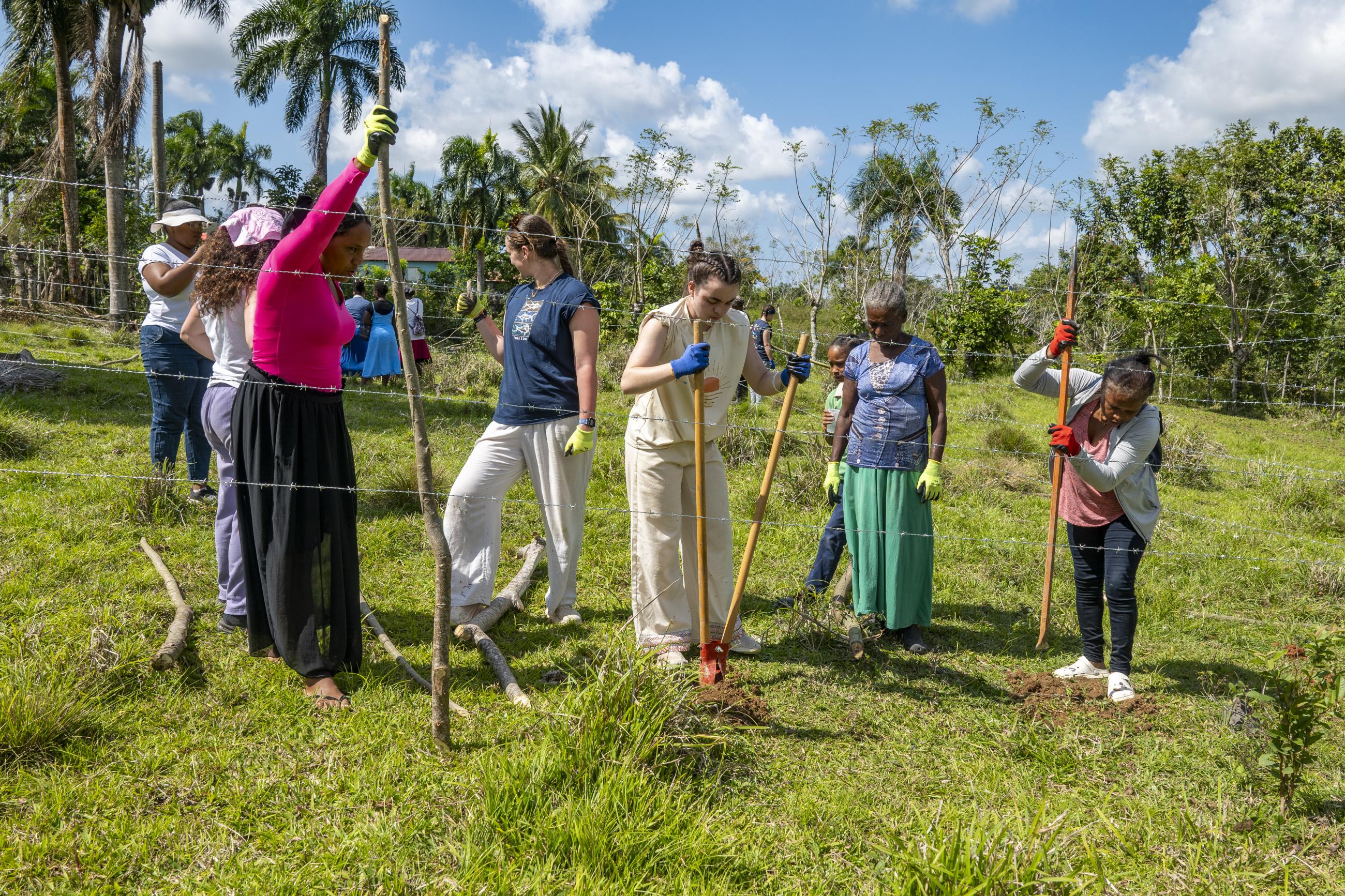 Multiple women work together to dig holes for the sticks to be placed into. One woman holds the fence back while two others dig into the ground. 