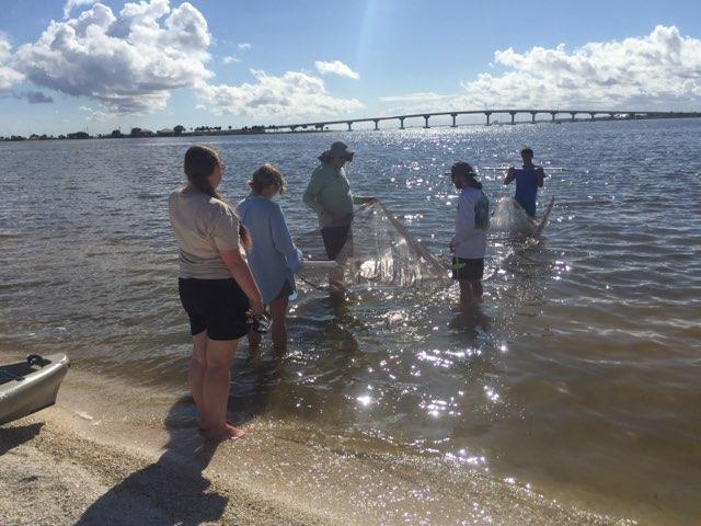 Students and trip leaders stand in the water with a net. It is sunny and there are clouds behind them. 