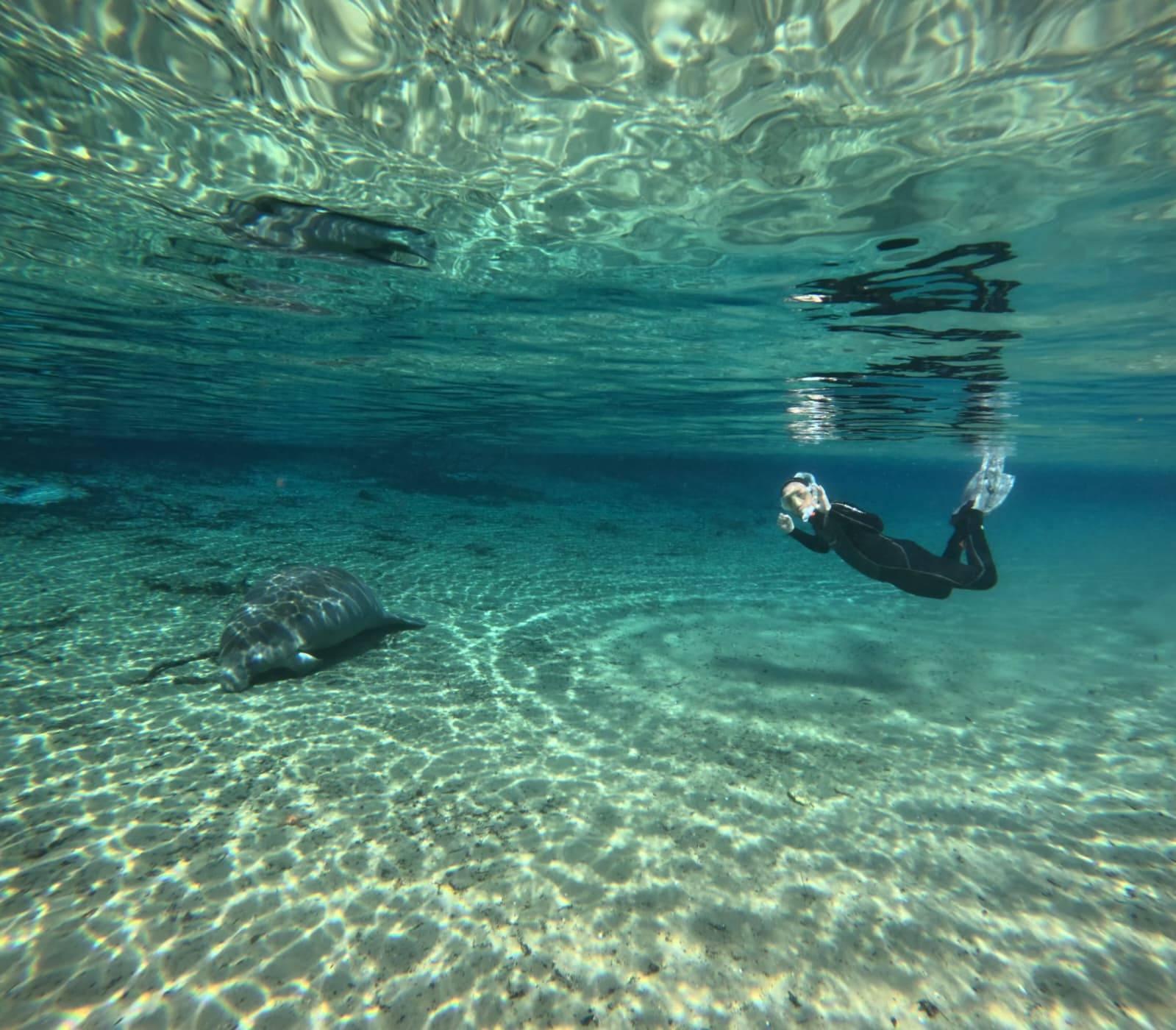 A student wearing a black swim suit and a snorkel waves at the camera as she swim close to a manatee.