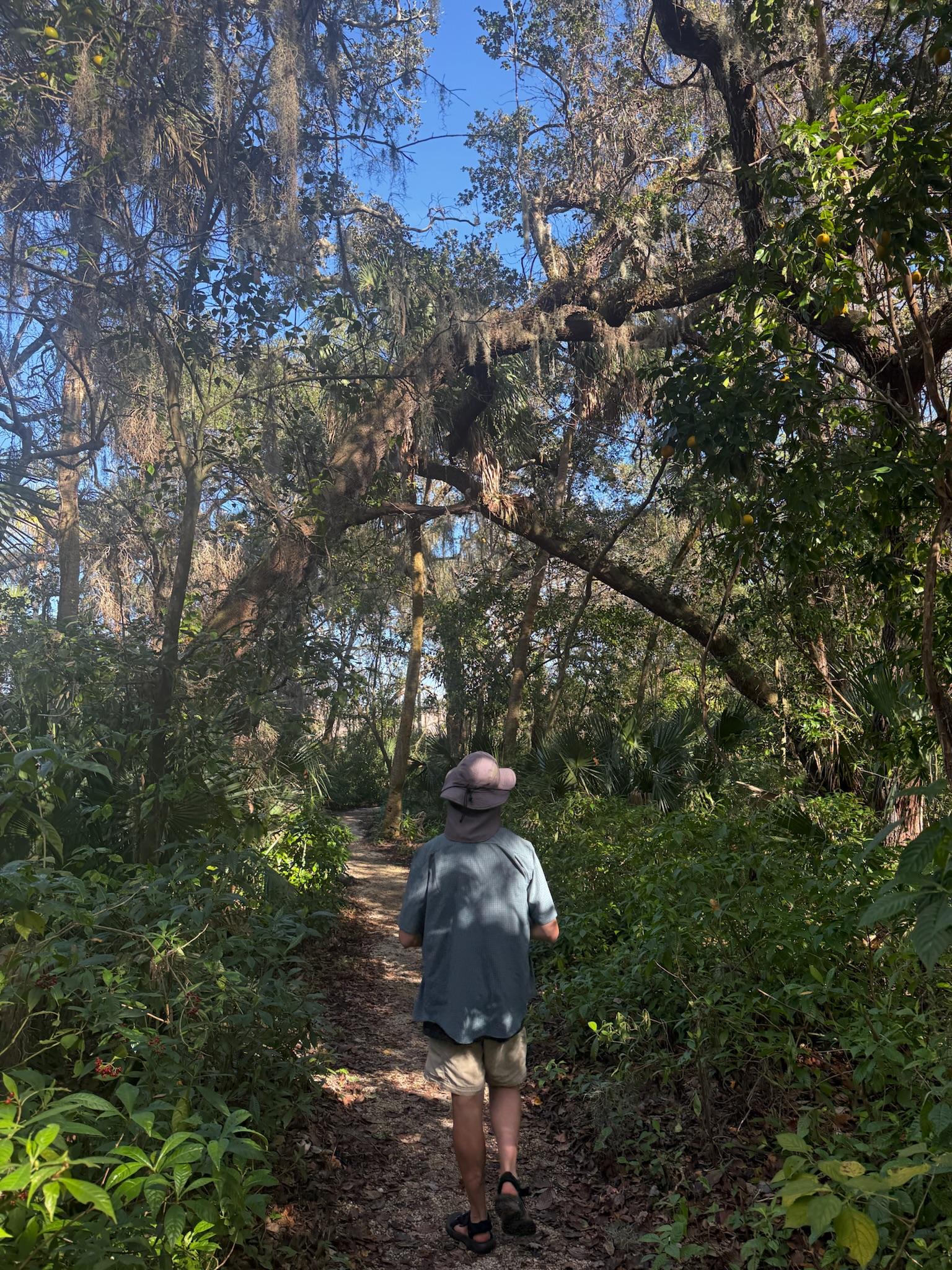 Dr. Hayes is facing away from the camera as he walks along a dirt path.  Trees and plants surround the area around him. 