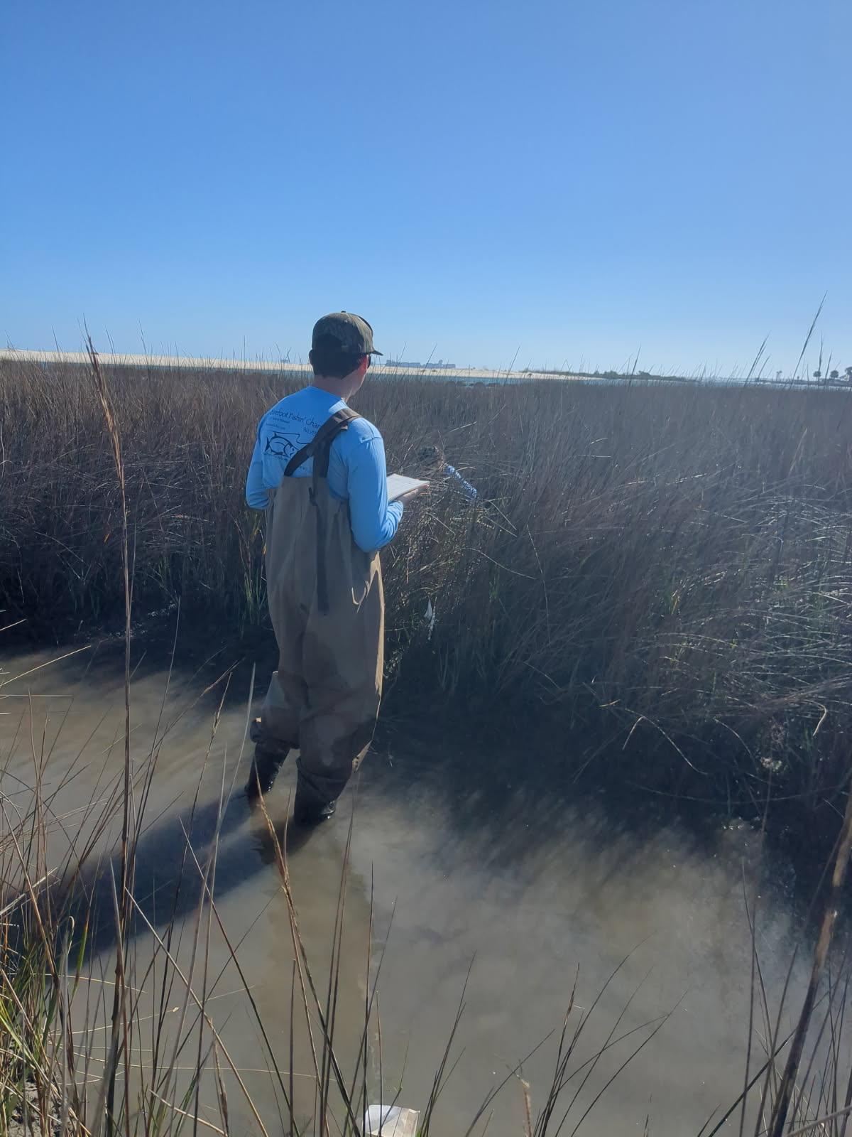 Student conducting research during Marine Biology Field Research Spring Break trip to Dauphin Island, Alabama