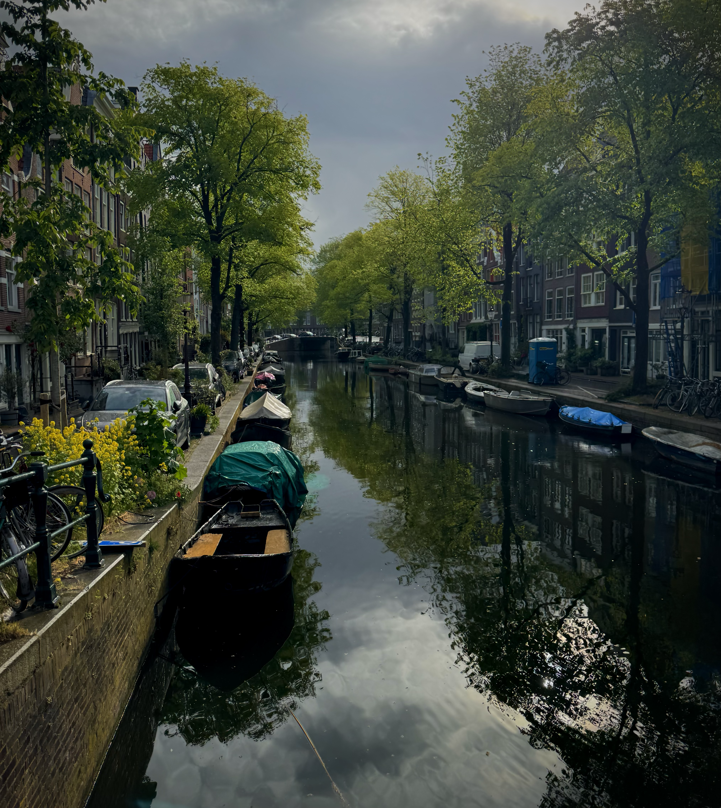 A line of boats float in a canal, with roads buildings and trees on either side.