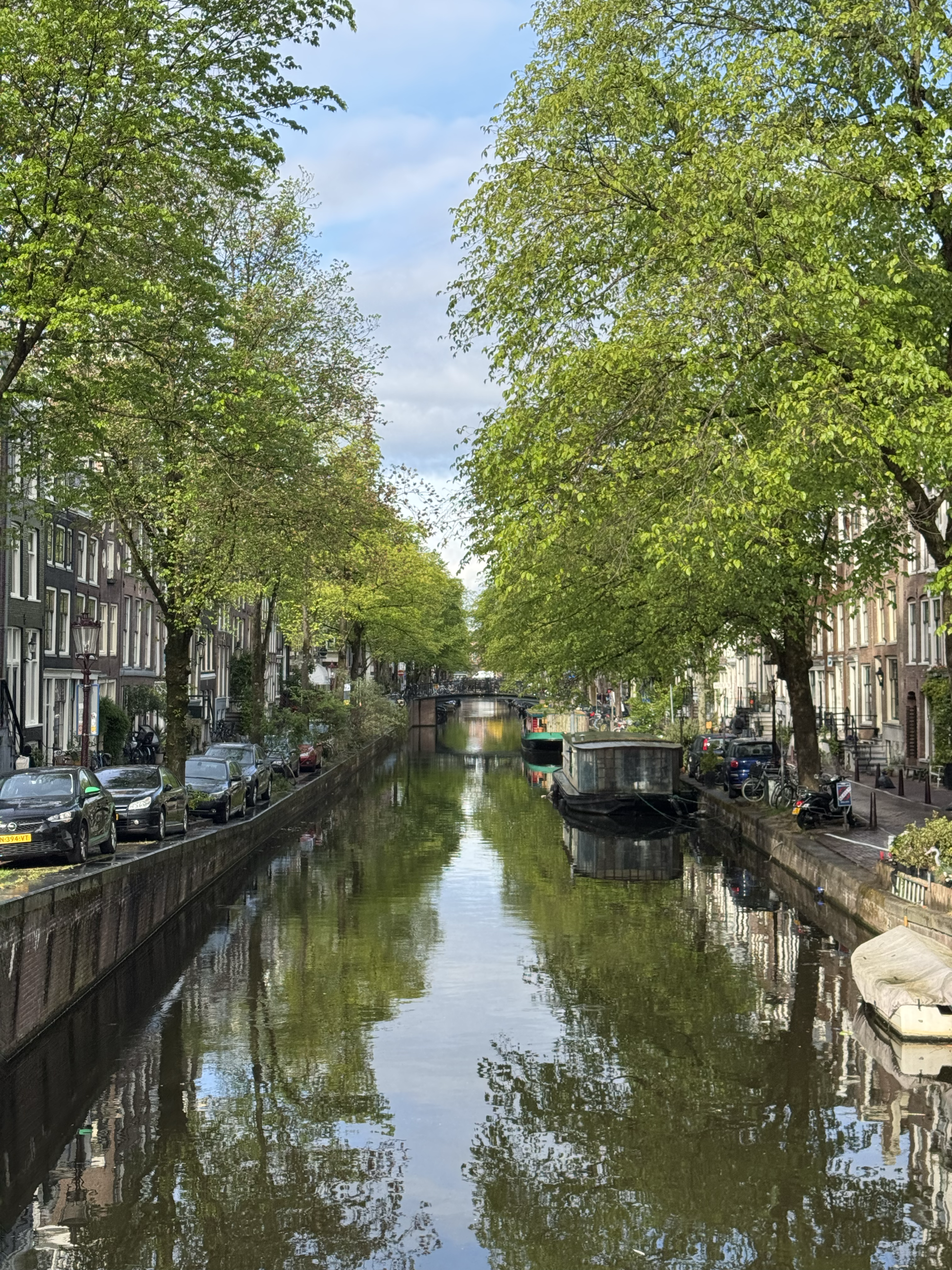 A canal shows the reflection of the buildings and trees on either side of it.