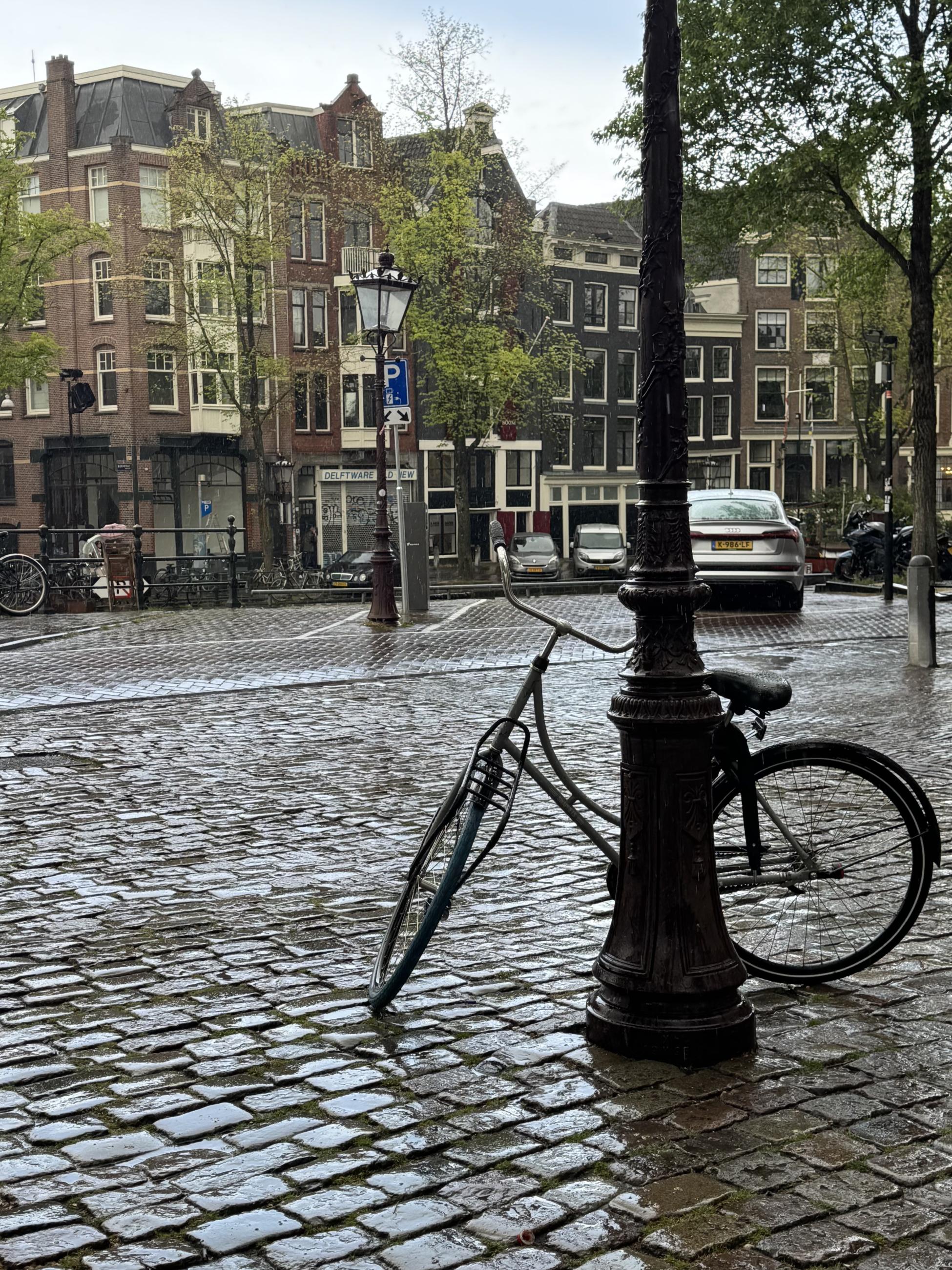 A bicycle leans against a lightpost on a cobblestone street with buildings in the background.
