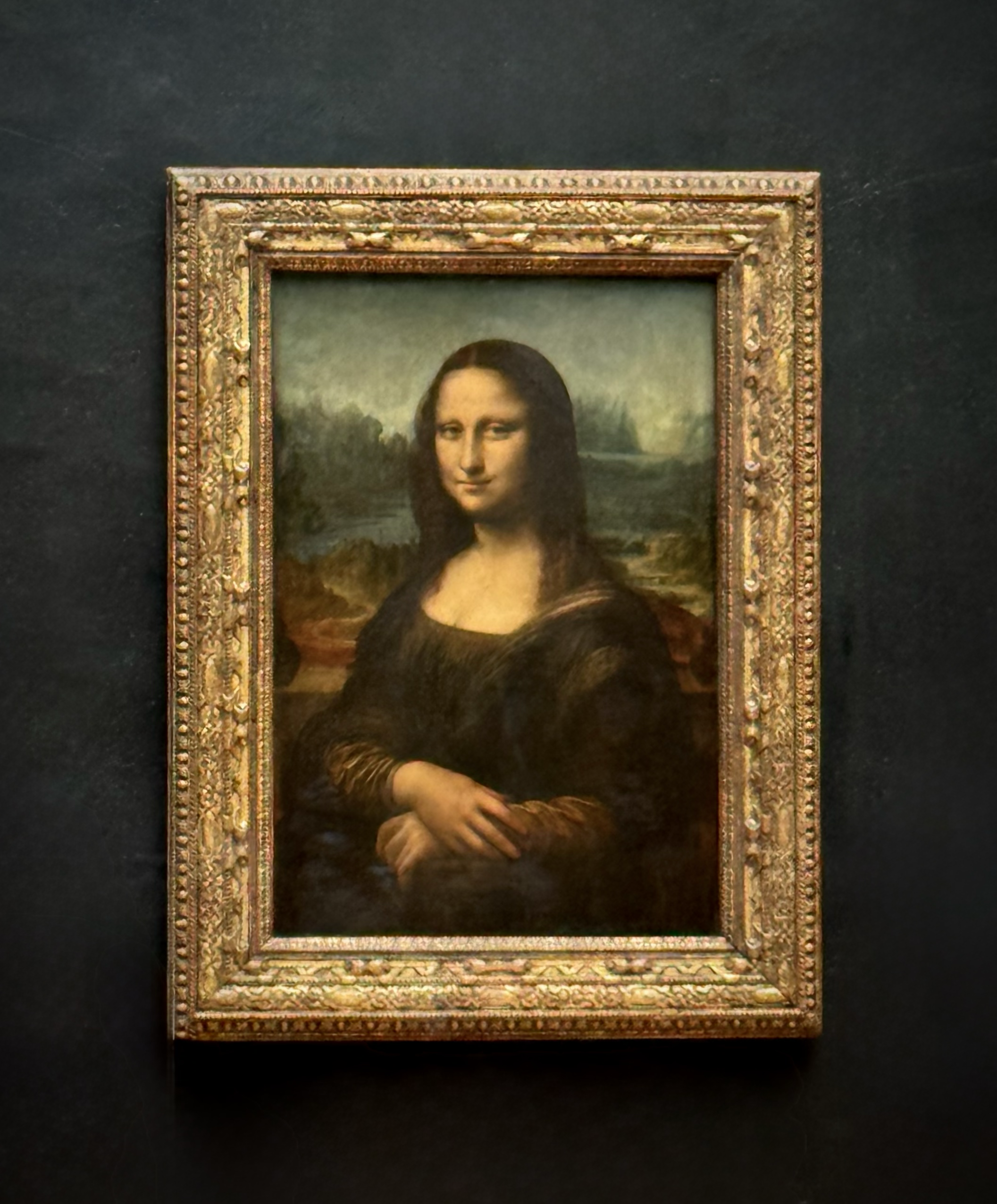 The Mona Lisa, a famous painting of a woman in dark clothing, hangs on a wall. 