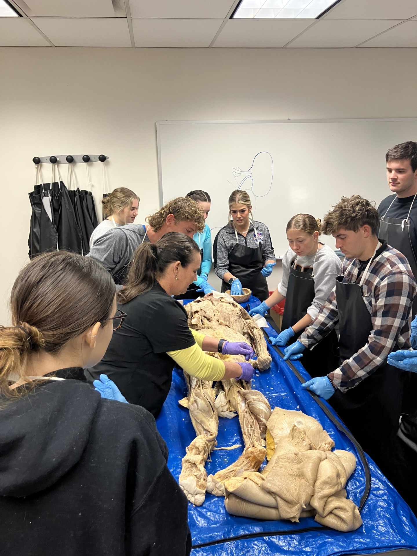 Students and a faculty member surround a table in a lab with a cadaver on it.