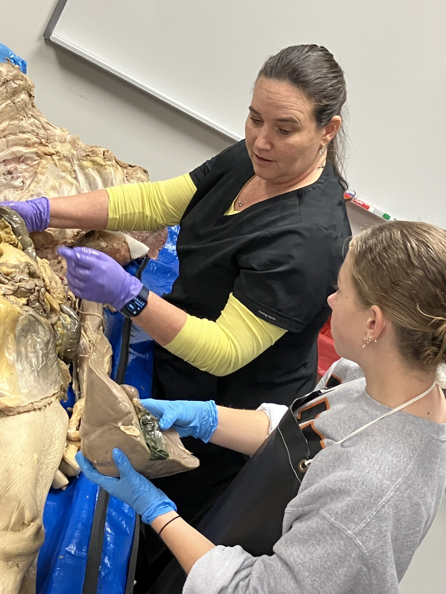 A faculty member instructs a student as they learn hands on with a cadaver.