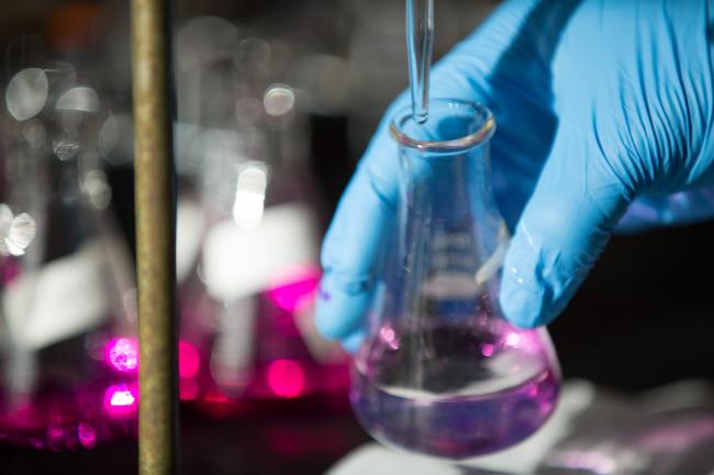 lab