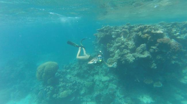 study abroad