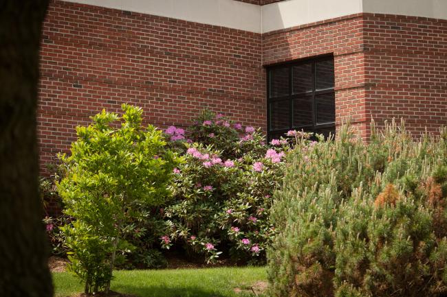 gpac spring