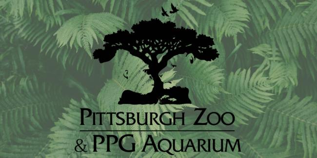 Zoo Trip