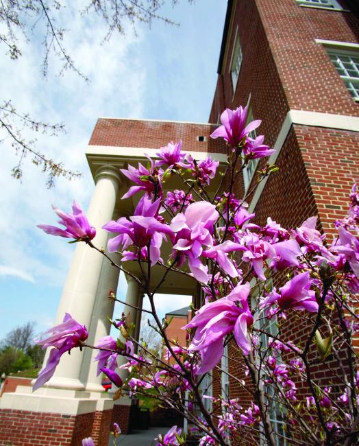 Spring on campus