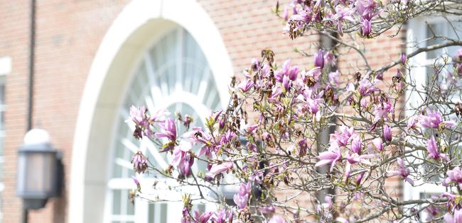 Campus Beauty