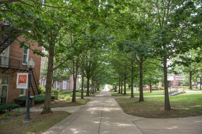 miller walkway