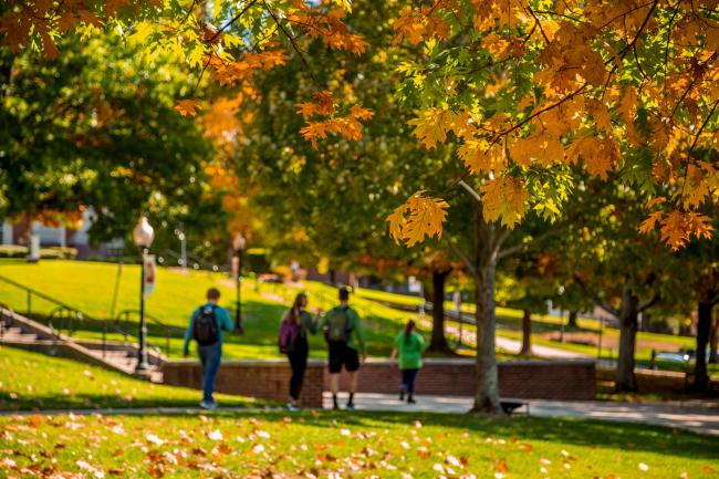 fall commons