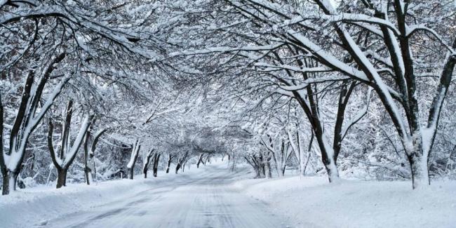 Winterfest