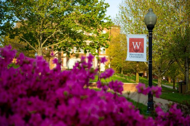 spring blooms on Waynesburg's campus