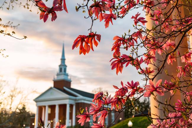 sunset blooms chapel