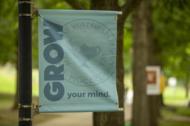 grow mind banner