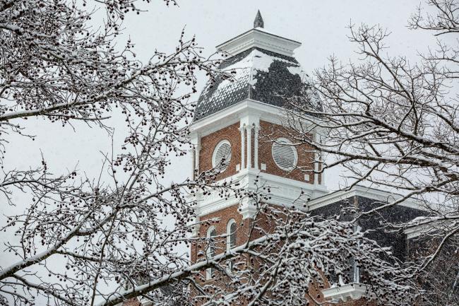 snowy trees in front of Miller Hall