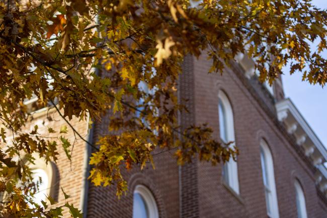 Fall leaves against Miller Hall's bricks