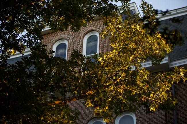 Miller Hall peeking through the trees