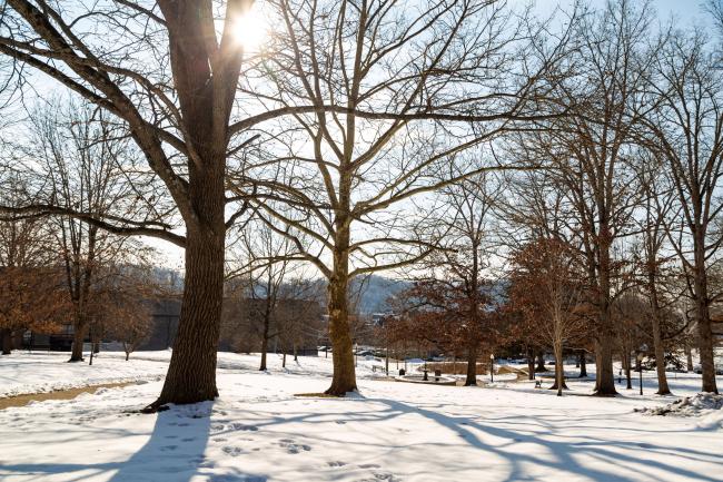 Snow in Fountain Park in Waynesburg