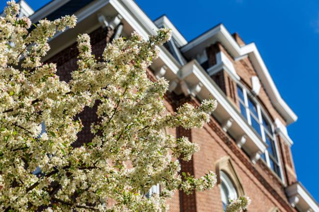 Miller Hall with spring blooms