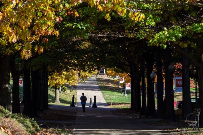 Students on campus in the fall