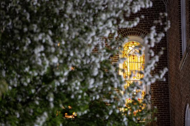 night spring miller