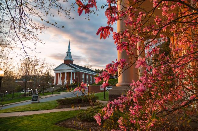 Red flowers bloom on a tree in front of Stover while Roberts Chapel looms in the distance. 