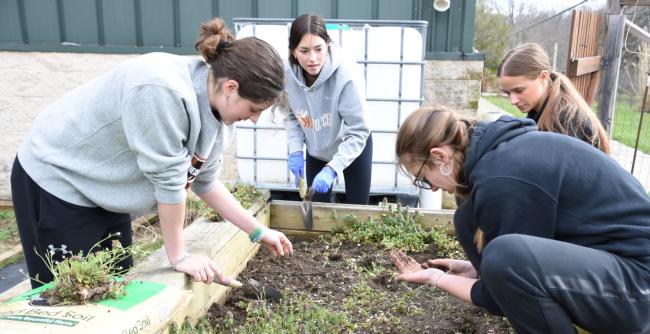 Students serve at the Corner Cupboard during the Charter Day of Service