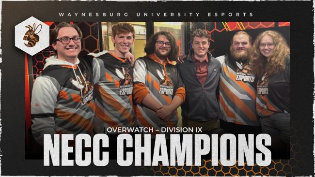 Overwatch champions