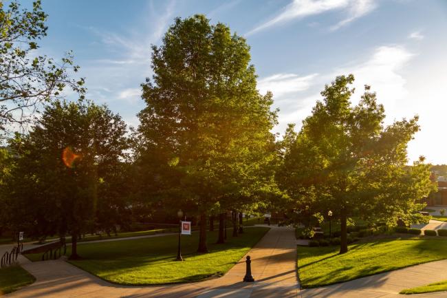 Summer sunshine and trees on campus