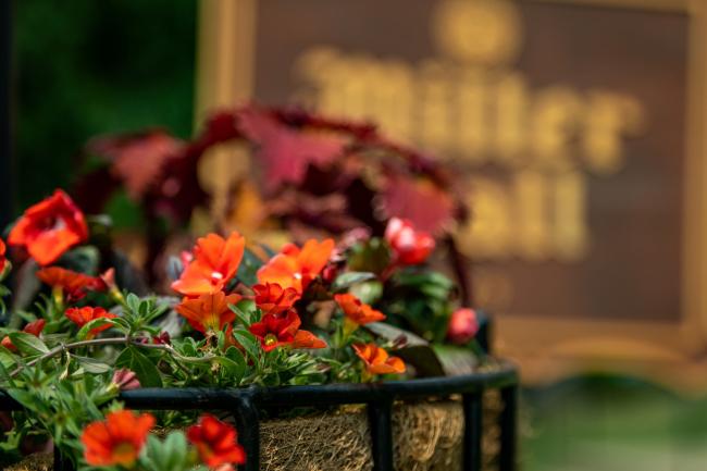 Flowers in front of Miller Hall