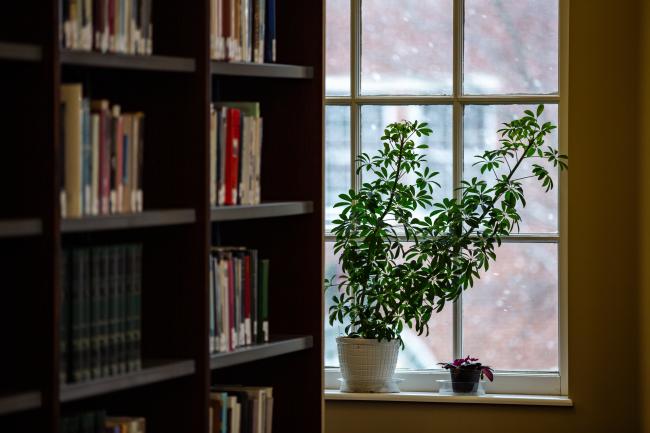 Snow falling outside Eberly Library window
