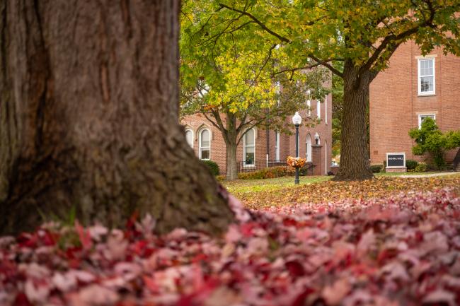 Fallen red leaves scattered on the ground surrounding the trunk of a large tree, with Miller Hall and additional trees in the background