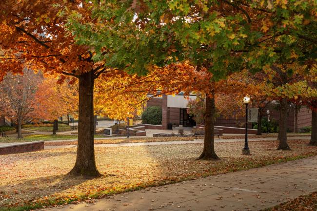 Campus in autumn; trees with red, orange, gold and green leaves line the sidewalks near the Goodwin Performing Arts Center with sunshine streaming through the branches